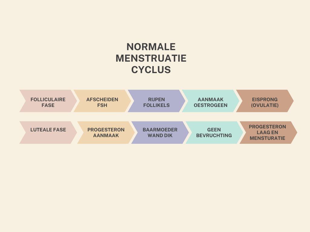 menstruatie cyclus
