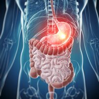 The Power of Enzymes