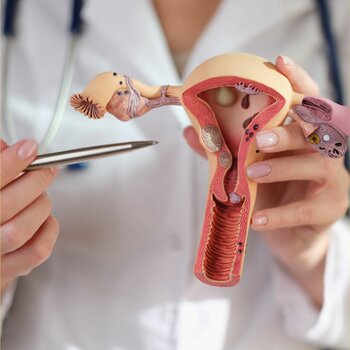 Vaginal application of progesterone cream