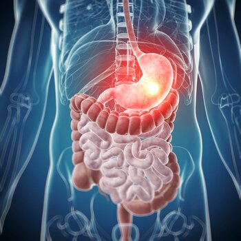 The Power of Enzymes